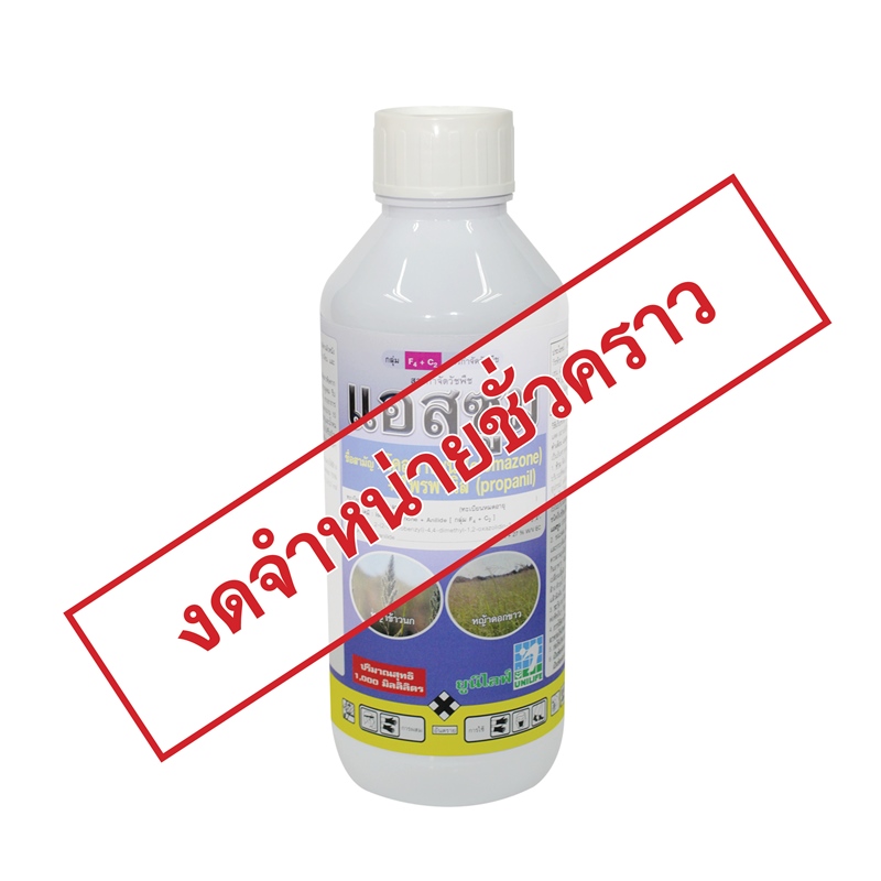 แอสซูม (1 ลิตร)