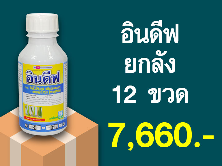PRO.ซื้ออินดีฟ(500 ซีซี) 1 ลัง...ราคาพิเศษ 7,660 บาท