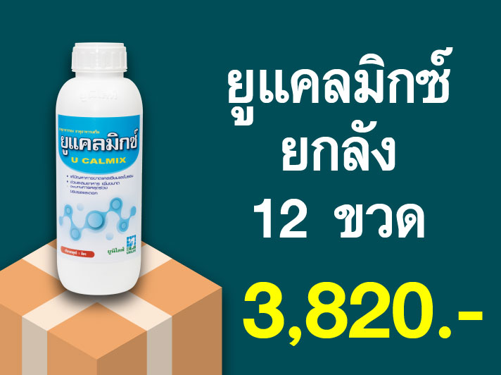 PRO.ซื้อยูแคลมิกซ์(1 ลิตร) 1 ลัง...ราคาพิเศษ 3,820 บาท