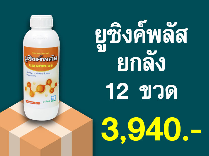 PRO.ซื้อยูซิงค์พลัส(1 ลิตร) 1 ลัง...ราคาพิเศษ 3,940 บาท
