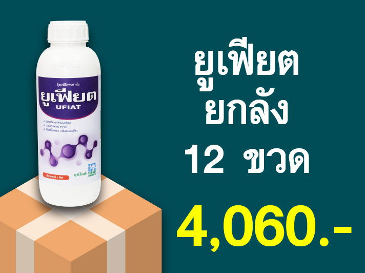 PRO.ซื้อยูเฟียต(1 ลิตร) 1 ลัง...ราคาพิเศษ 4,060 บาท