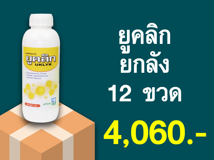 PRO.ซื้อยูคลิก(1 ลิตร) 1 ลัง...ราคาพิเศษ 4,060 บาท