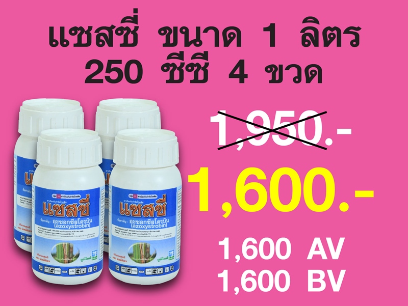 PRO.ซื้อแซสซี่(1 ลิตร)(250 ซีซีX4ขวด)...ราคาพิเศษ 1,600 บาท