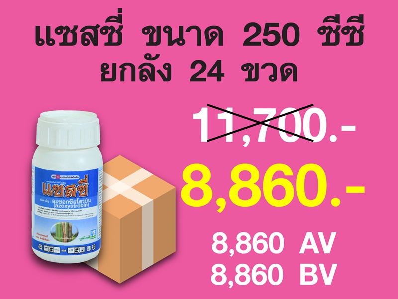 PRO.ซื้อแซสซี่(250 ซีซี) 1 ลัง..ราคาพิเศษ 8,860 บาท