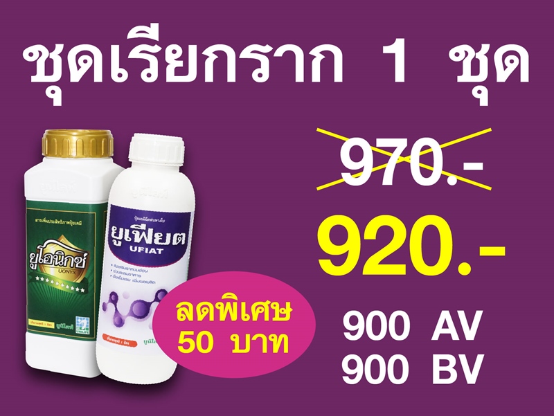 PRO.ชุดเรียกราก (ขนาด 1 ลิตร)...ราคาพิเศษ 920 บาท
