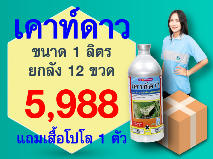 PRO.ซื้อเคาท์ดาว(1 ลิตร) 1 ลัง..รับเสื้อโปโล(ฟ้า-เทา) 1 ตัว