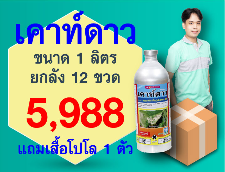 PRO.ซื้อเคาท์ดาว(1 ลิตร) 1 ลัง..รับเสื้อโปโล(เขียว-เทา) 1 ตัว