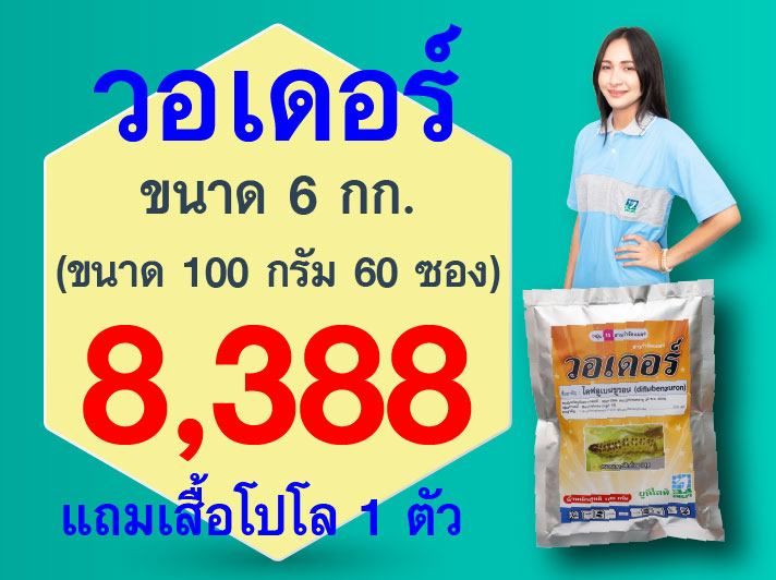 PRO.ซื้อวอดอร์(100gX5ซอง) 12 ชุด..รับเสื้อโปโล(ฟ้า-เทา) 1 ตัว