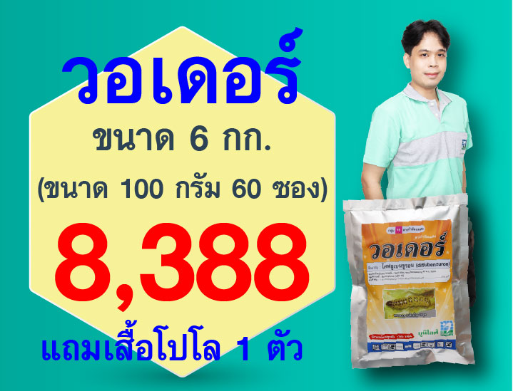 PRO.ซื้อวอดอร์(100gX5ซอง) 12 ชุด..รับเสื้อโปโล(เขียว-เทา) 1 ตัว
